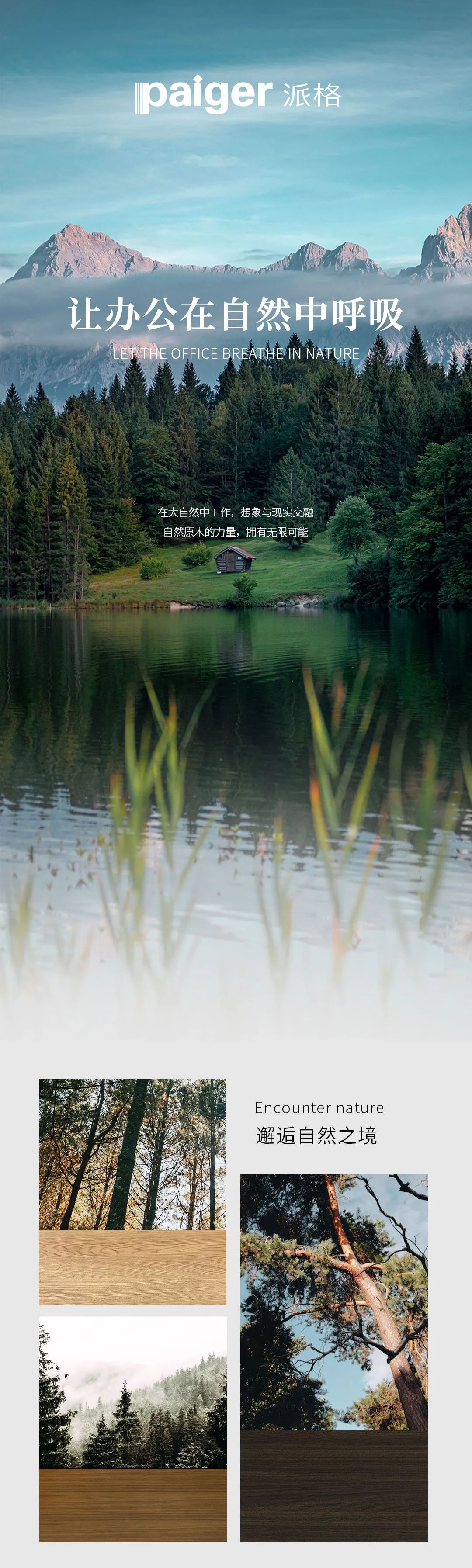 派格，讓辦公在自然中呼吸